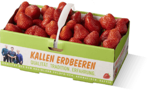 43_Kallen Erdbeeren 1kg Korb