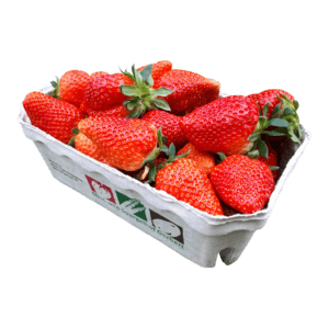 8_Gerbert Erdbeeren 500g Schale
