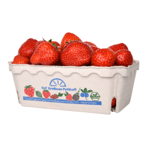 Hof Grothues-Potthoff Erdbeeren Schale