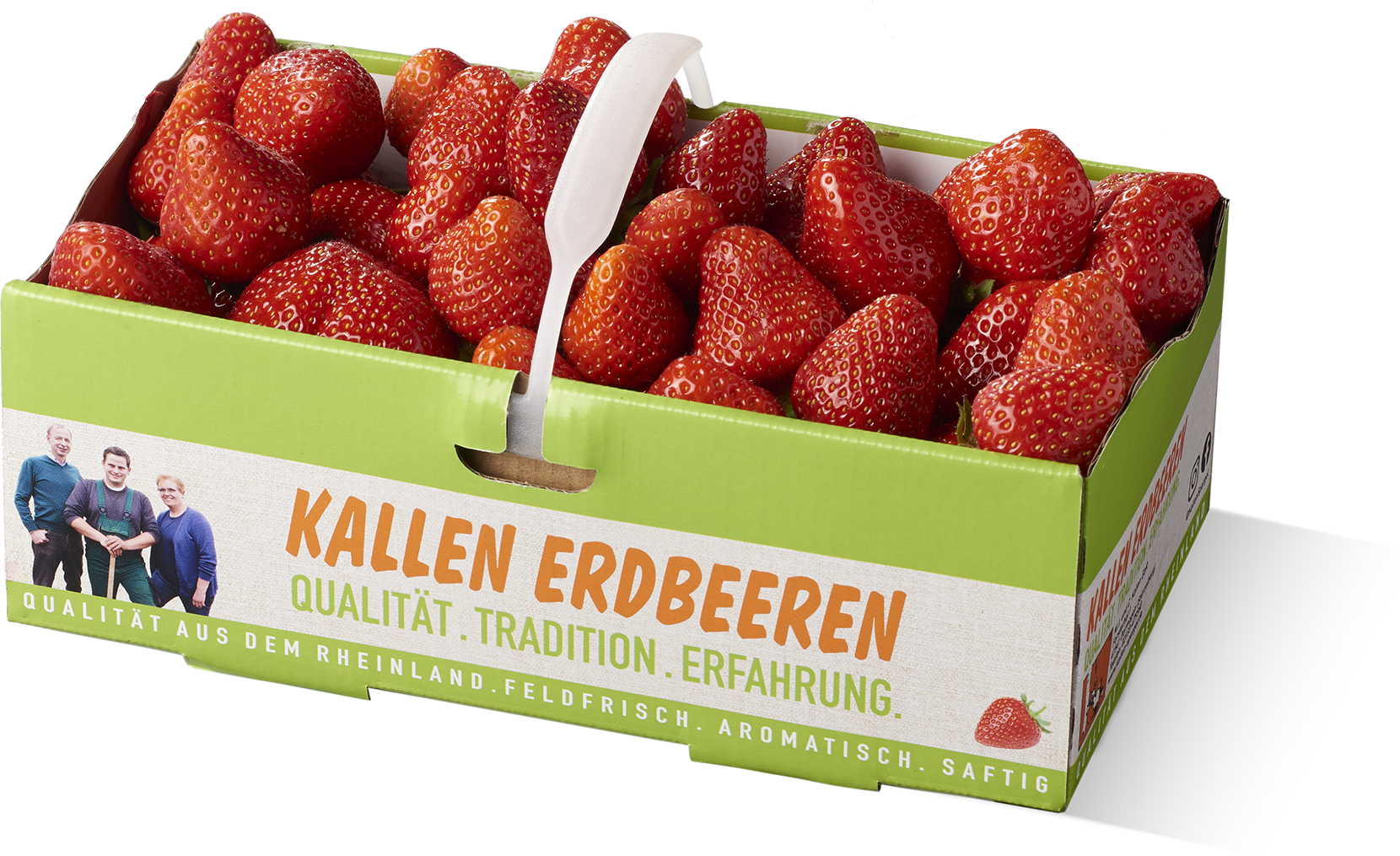 Kallen Erdbeeren 1kg Korb